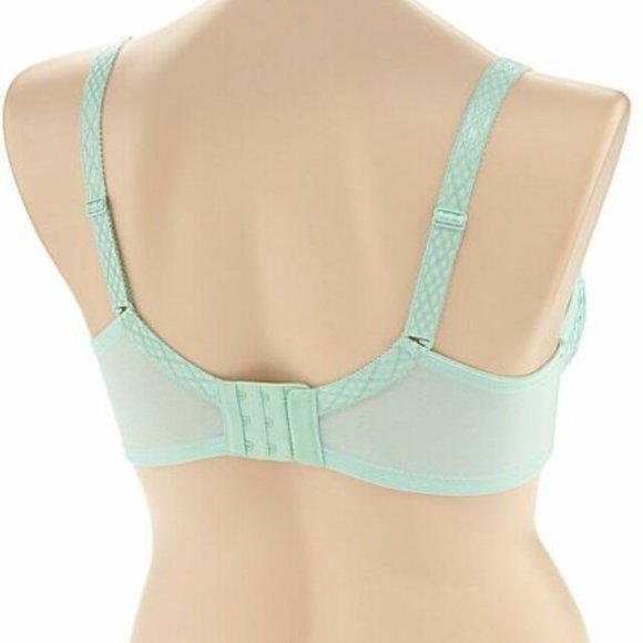 1st & Curve by Modern Movement Madison T-Shirt Bra 36H Magenta/Annimal Prt. Lace - Picture 4 of 4